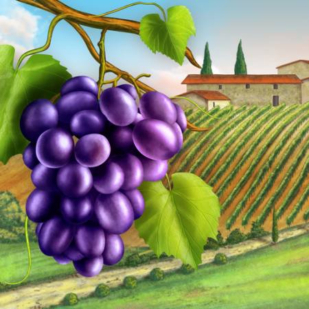vinograd